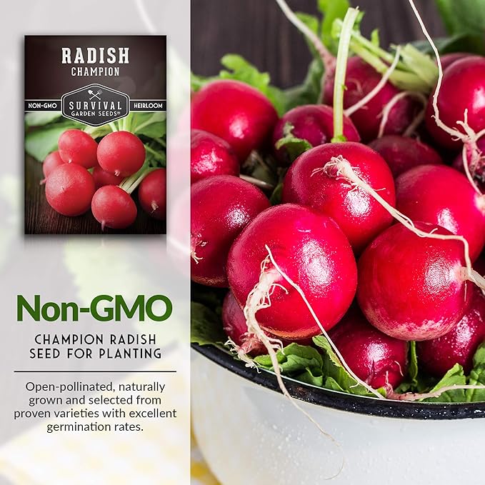 Survival Garden Seeds - Champion Radish Seed for Planting - Packet with Instructions to Plant and Grow Red Radishes in Your Home Vegetable Garden - Non-GMO Heirloom Variety Vegetable Seed