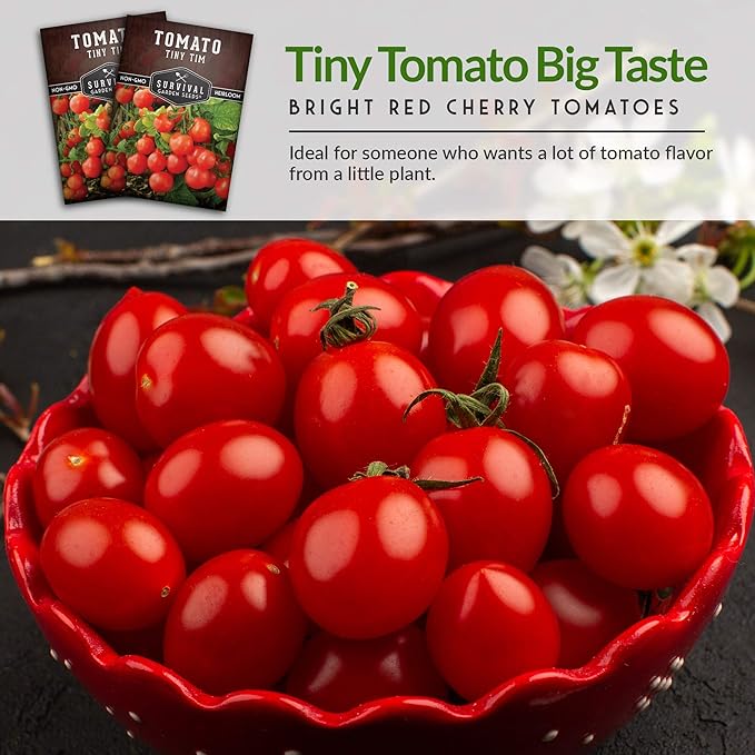 Survival Garden Seeds - Tiny Tim Tomato Seeds for Planting - 5 Packs with Instructions to Grow in Your Home Vegetable Garden - Non-GMO Heirloom Variety