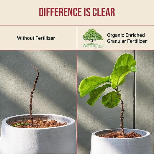 Eden Tomato Organic Enriched Fertilizer | Neem Plant Food 8-5-8 Enriched Formula | for Growing Healthy & Natural Tomatoes (5lbs)