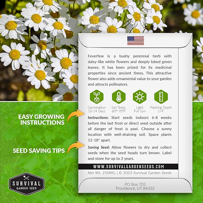 Feverfew Seeds for Planting - 3 Packets with Instructions to Plant and Grow Your Own Bachelor's Buttons in Your Home Vegetable or Herb Garden - Non-GMO Heirloom Variety - Survival Garden Seeds