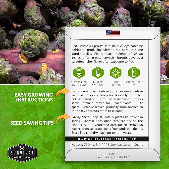 Red Brussels Sprouts Seed for Planting - 3 Packets with Instructions to Plant and Grow Unique Brassica Plants in Your Home Vegetable Garden - Non-GMO Heirloom Variety - Survival Garden Seeds