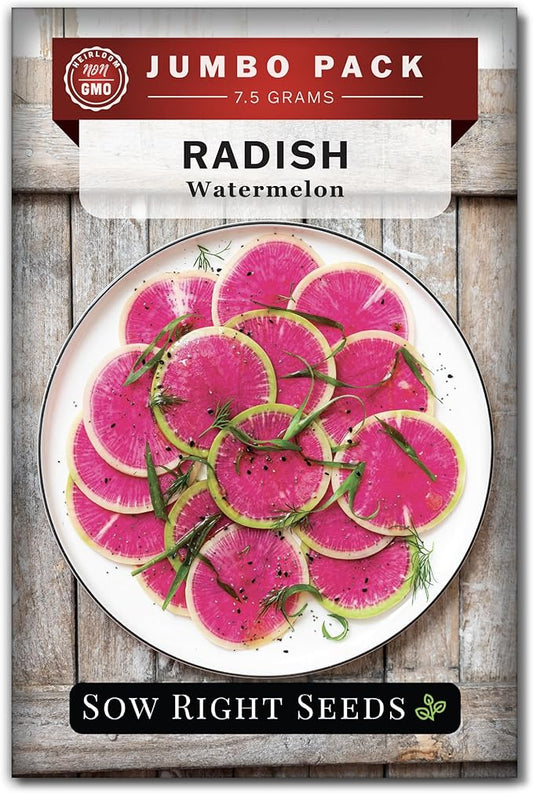 Sow Right Seeds - Bulk Watermelon Radish Seed for Planting - 10 Grams, 950 Seeds - Non-GMO Heirloom Jumbo Pack with Instructions to Plant a Home Vegetable Garden - Grow Loads of This Rare Veggie