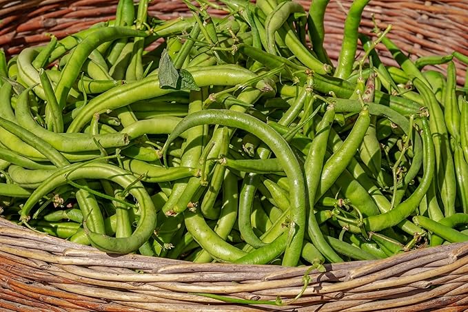 Set of 25 Premium Vegetable & Herb Seeds - 25 Deluxe Variety Premium Vegetable & Herb Garden 100% Non-GMO Heirloom