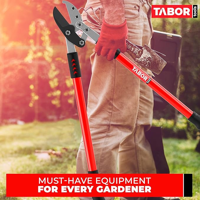 TABOR TOOLS GG12A Anvil Lopper with Compound Action, 30 Inch Tree Trimmer, Thick Branch Cutter with ⌀ 2 Inch Cutting Capacity, Chops Thick Branches with Ease.