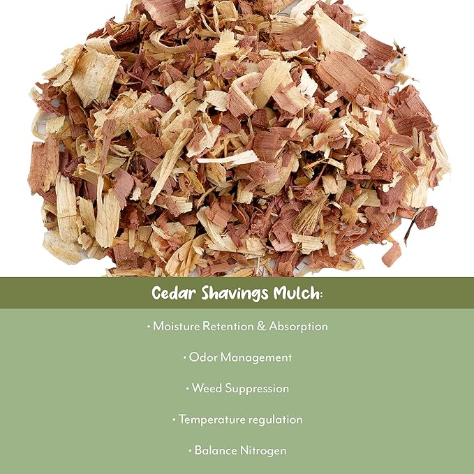 Natural Cedar Shavings Mulch/Bedding (12 Quarts), Garden Mulch and Small Animal Pet Bedding