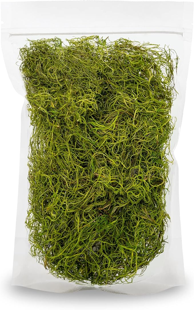 Premium Spanish Moss in Spring Green| Natural Preserved - Great Ground Cover - Filler for Potted Plants - by GARDENERA - 4 Quart Bag