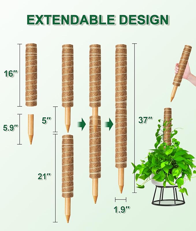 EAONE Moss Pole 126 Inch, 6 Pack 21" Monstera Plant Support for Climbing Potted Live Plants Indoor, Stackable Coco Coir Moss Sticks Monstera Stakes for Pothos Philodendron, with Garden Labels & Ties