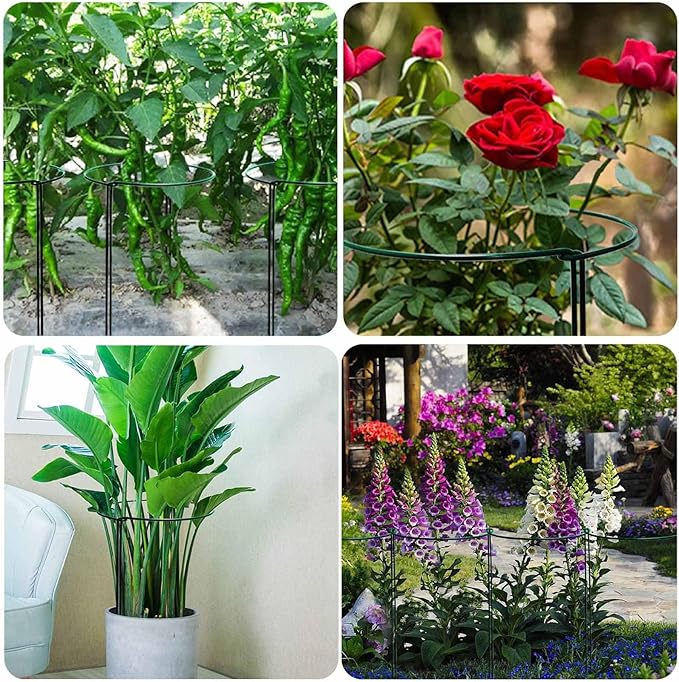 TCBWFY 10 Pack Plant Support Stakes for Peony,10" Widex24 High Heavy Duty 4.5mm Peony Cages and Support,Metal Peony Supports for Outdoor Indoor Plants,Plant Supports for Peony