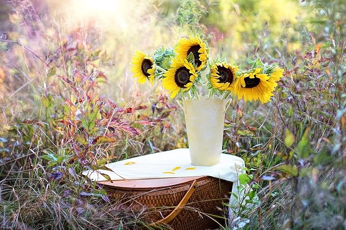 Set of Flower Seed Packets! Flower Seeds in Bulk - Great for Creating The Garden of Your Dreams! (50, Aster - Powderpuff Mix)