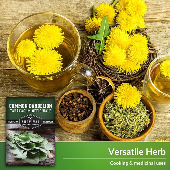 Survival Garden Seeds Common Dandelion Seed - 3 Packs with Instructions to Plant & Grow Nutritious Medicinal Plants & Leafy Greens in Your Home Herb or Vegetable Garden - Non-GMO Heirloom Variety