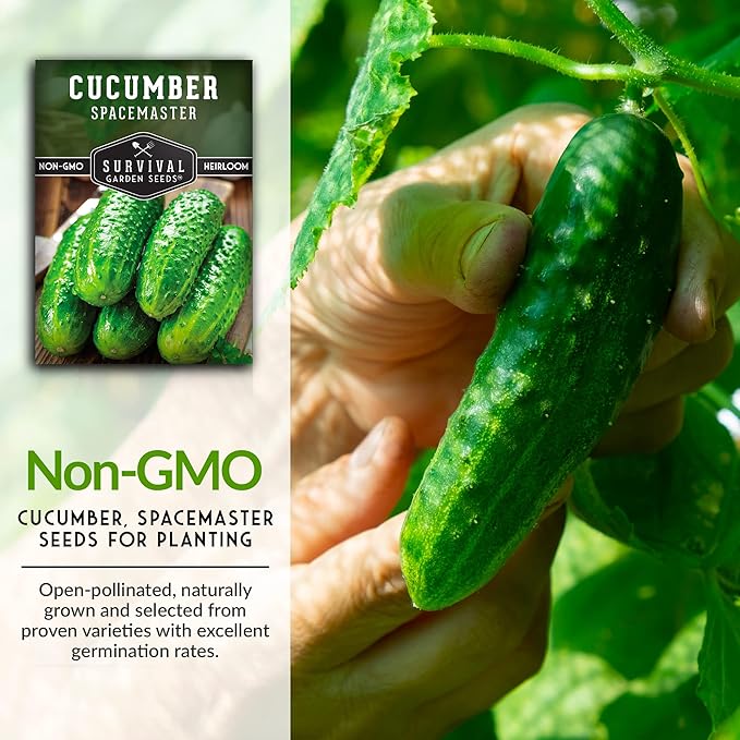 2 Packs Spacemaster Cucumber Seed for Planting - Seed Packet with Instructions to Grow Container Friendly Cucumbers in Your Home Vegetable Garden - Non-GMO Heirloom Variety - Survival Garden Seeds