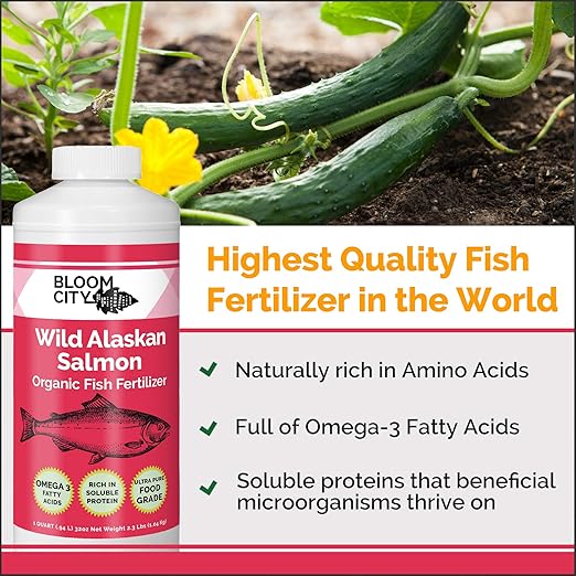 Bloom City Organic Wild Fish Fertilizer and Plant Supplement, Great for Roots and Soil, Made from Sustainable Salmon, Gallon (128 oz)