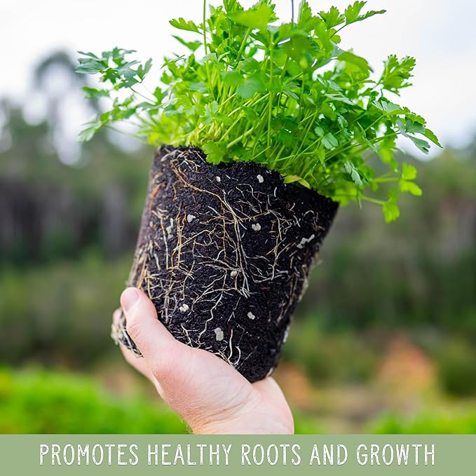 Horticultural Perlite Soil Additive (30 Quarts); for Enhanced Potting Mix Drainage and Growth