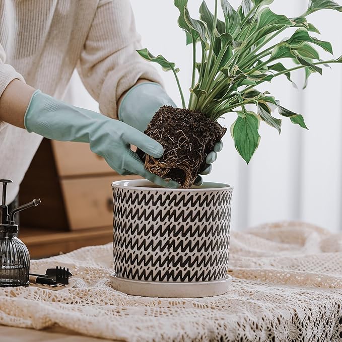 8 Inch Plant Pot: Ceramic Planter with Drainage Hole & Saucer for Indoor Outdoor Plants - Flowerpot with Bonded Tray for Home Office - Wave Stripe Debossed