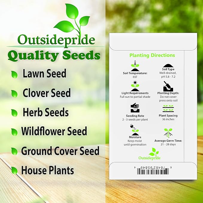 Outsidepride 1000 Seeds Perennial Malva Sylvestris Purple French Hollyhock Zebrina Flower Seeds for Planting