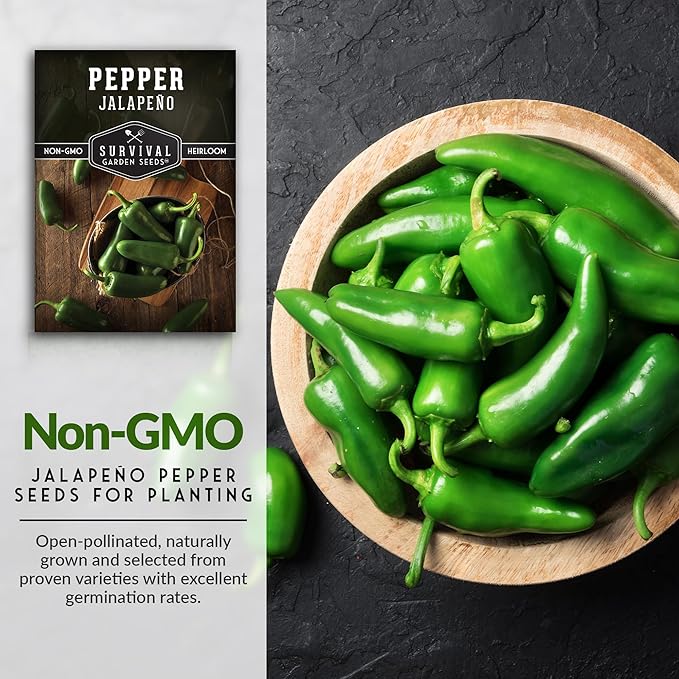 Survival Garden Seeds - Jalapeño Pepper Seed for Planting - Packet with Instructions to Plant and Grow Green or Red Chili Peppers in Your Home Vegetable Garden - Non-GMO Heirloom Variety - 5 Pack