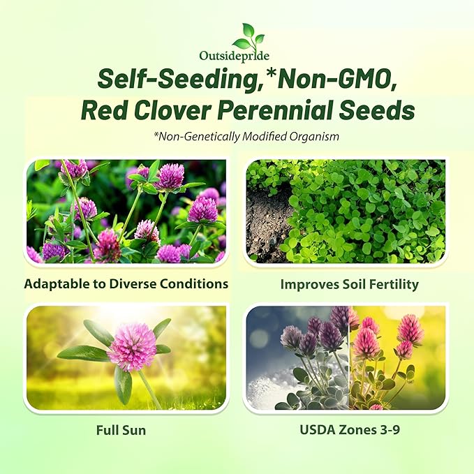 Outsidepride Perennial Red Clover Seeds - 1/4 lbs. Self-Seeding, Nitrocoated, Inoculated Clover Seeds for Lawn, Yard, Forage, Pasture, Hay, Nitrogen Fixation, Soil Improvement & Crop Rotation Programs