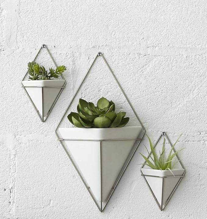 Umbra Trigg Hanging Planter Vase Wall Decor, Pot and Container for Succulents, Cactus, Faux Plants, and More, Large, White/Nickel