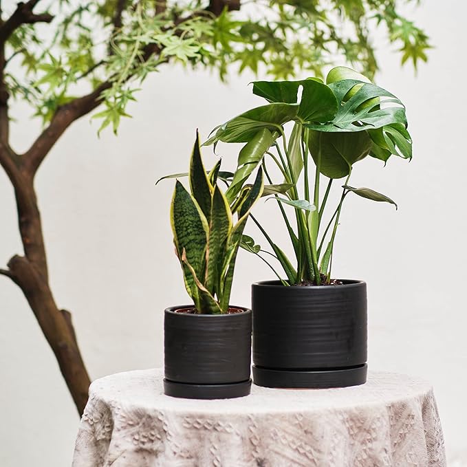 6 + 8 Inch Plant Pots, Ceramic Planter Pot with Drainage Hole & Saucer, Indoor/Outdoor Cylinder Round Planter Pot, Matte Black