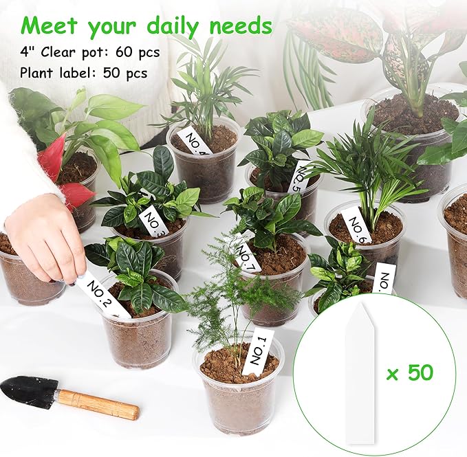 60 Pack 4 Inch Clear Nursery Pots with Drainage Holes, Transparent Plastic Pots for Plants, Reinforced Seed Starter Pots Garden Pots Flower Pots Come with 50pcs Plant Labels