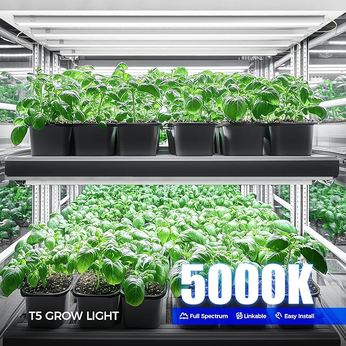 Barrina T5 Grow Lights for Indoor Plants Full Spectrum, 4FT 160W (8 X 20W) Indoor Plant Light with Separate Switch, Linkable Grow Lamp, Indoor Plant Lights for Growth, Plug and Play, 5000K, 8 Packs