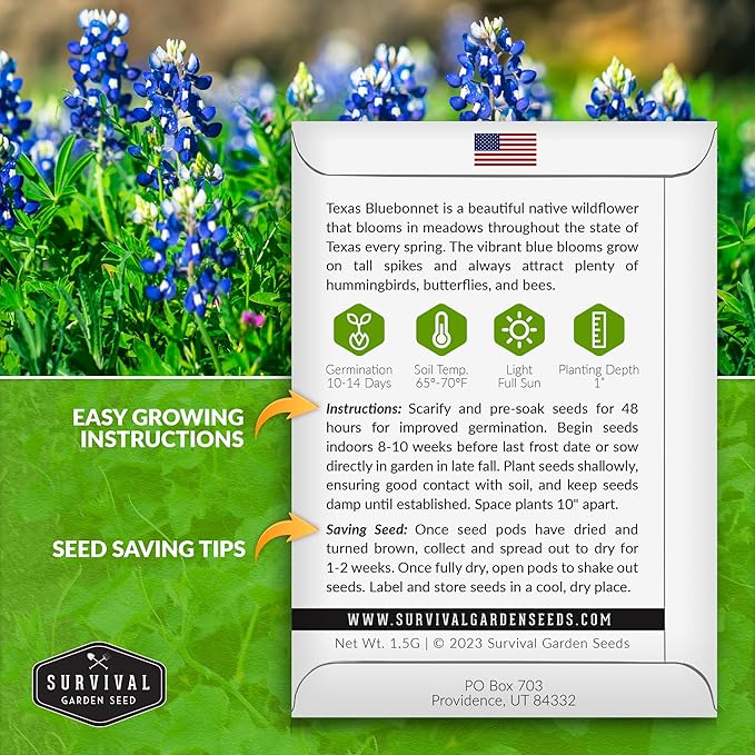 Texas Bluebonnet Seed for Planting - 2 Packets with Instructions to Plant & Grow Lupinus Texenisis in Your Home Wildflower Garden - Non-GMO Heirloom Variety- Survival Garden Seeds - Drought Resistant