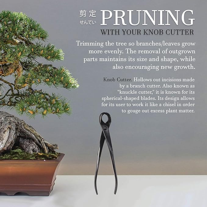 BambooMN Bonsai Basics Set - 8" Knob Cutter and 7.2" Trimming Shear - 30 Sets