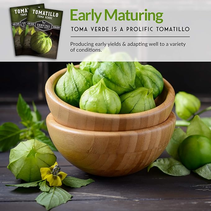 Survival Garden Seeds - Toma Verde Tomatillo Seed for Planting - 5 Packs with Instructions to Plant & Grow Green Salsa Vegetables in Your Home Vegetable Garden - Non-GMO Heirloom Variety