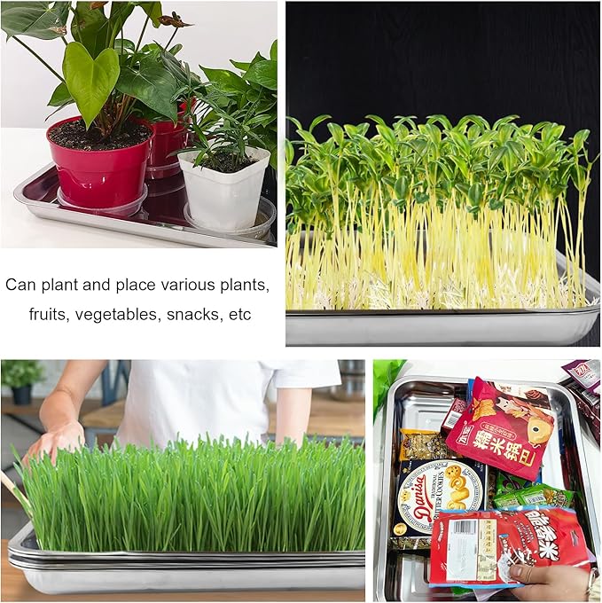 Stainless Metal Trays, Stainless Steel Seed Starter Carry Tray for Nursery Seedling Pots Water Collection Transplantation (13.56 inch×17.5 inch, 1.18" Height, 5-Pack)
