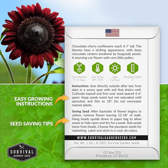 Survival Garden Seeds - Chocolate Cherry Sunflower Seed for Planting - 5 Packets with Instructions to Plant & Grow Burgundy Sunflowers in Your Vegetable & Flower Garden - Non-GMO Heirloom Variety