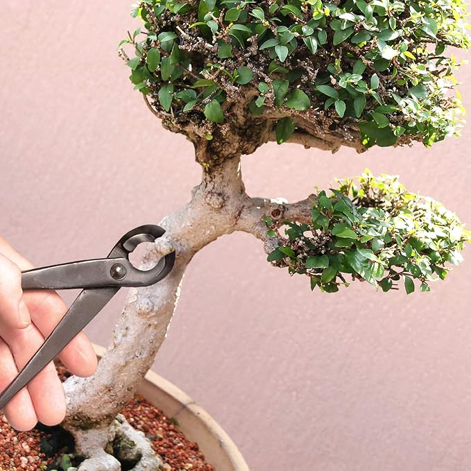BambooMN Bonsai Tool Kit - 8" Concave Cutter & 8" Knob Cutter - 3 Sets
