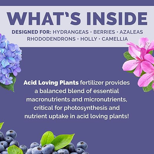 Bloom City's Acid-Loving Plant Fertilizer, Soil Acidifier for All Acid Loving Plants, Quart (32 oz)
