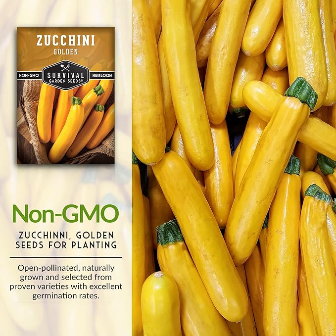Survival Garden Seeds - Golden Zucchini Seeds for Planting - 2 Packs with Instructions to Plant and Grow Yellow Zucchini Vegetables in Your Home Vegetable Garden - Non-GMO Heirloom Variety