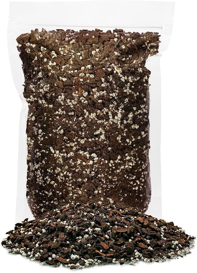 Monstera Borsigiana Soil Mix - Expertly Formulated for Strong Root Development - 2 Quart