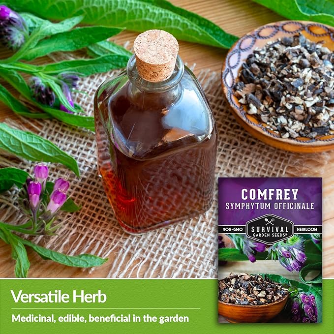 Survival Garden Seeds Comfrey Seed for Planting - 1 Packet with Instructions to Plant and Grow Slippery Root Plants in Your Home Herb Garden - Symphytum officinale - Non-GMO Heirloom Seed Variety