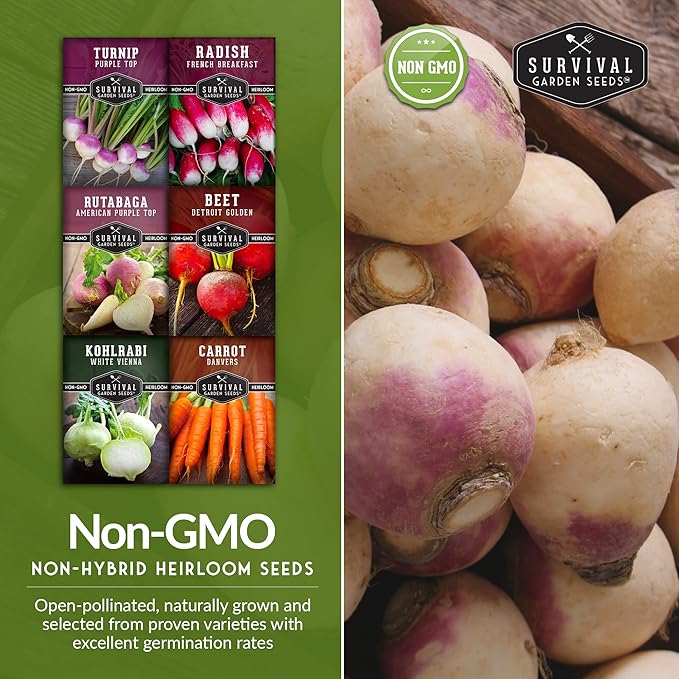 Survival Garden Seeds Root Vegetable Seed Collection - 6 Packs: Danvers Carrot, Purple Top Turnip, French Breakfast Radish, Kohlrabi, Rutabaga, Golden Beet - Non-GMO Heirloom Open-Pollinated Seeds
