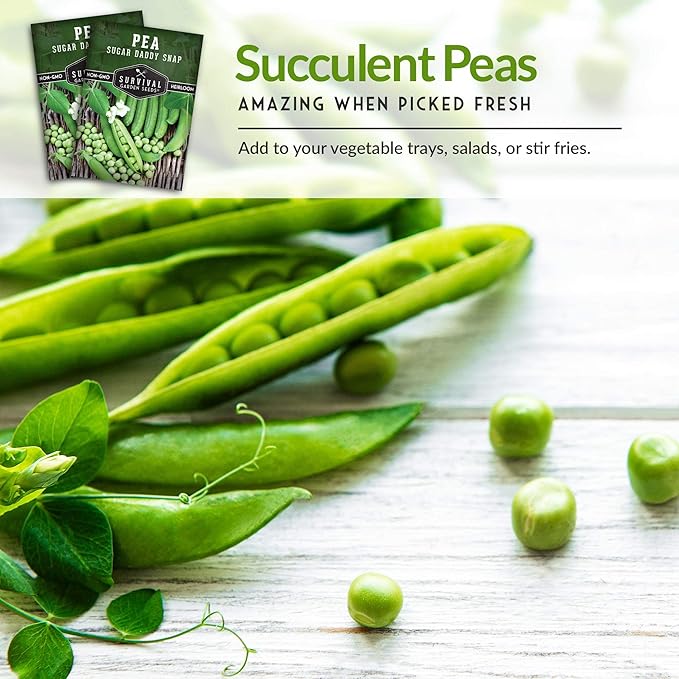 Survival Garden Seeds - Sugar Daddy Snap Pea Seed for Planting - 2 Packs with Instructions to Plant and Grow in Delicious Pea Pods Your Home Vegetable Garden - Non-GMO Heirloom Variety