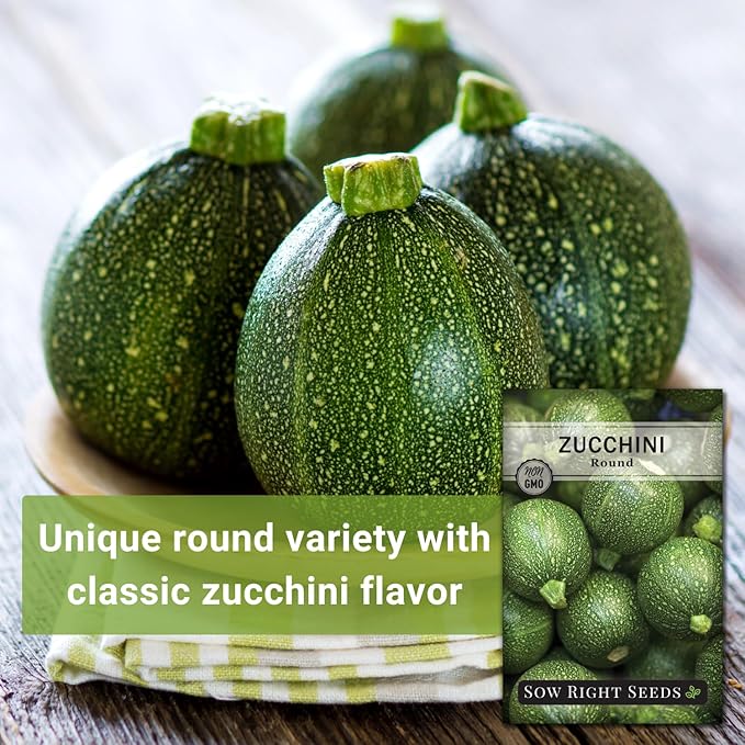 Sow Right Seeds - Round Zucchini Seed for Planting - Non-GMO Heirloom Packet with Instructions to Plant a Home Vegetable Garden - Unique Globe Squash - Summer Vining Variety (4)