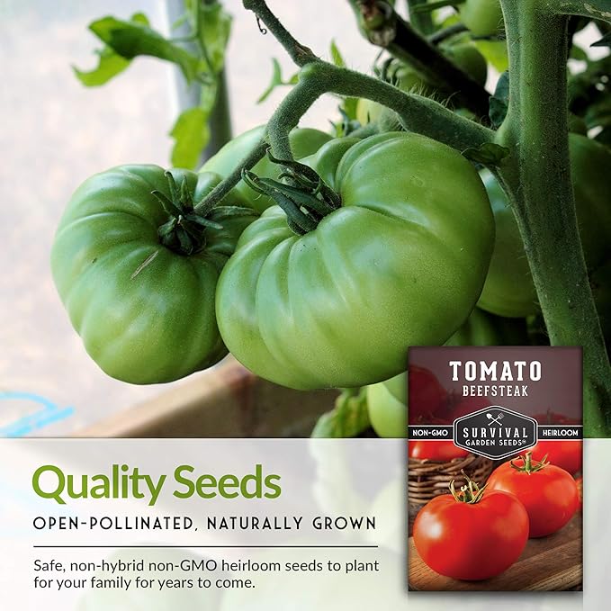 Survival Garden Seeds 5 Packs Beefsteak Tomato Seed for Planting - Packet with Instructions to Plant and Grow Delicious Tomatoes in Your Home Vegetable Garden - Non-GMO Heirloom Variety