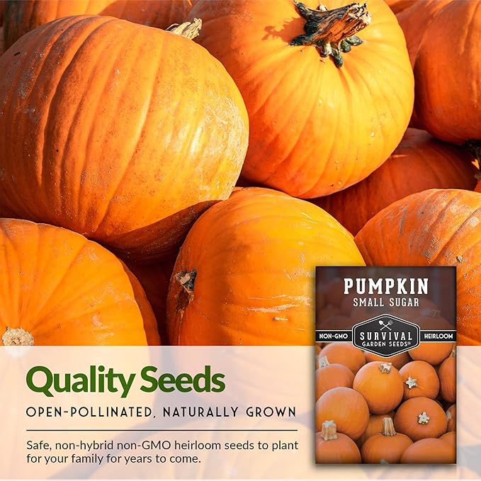 Survival Garden Seeds - Small Sugar Pumpkin Seeds for Planting – 1 Packet with Instructions to Grow Pie Pumpkins in Your Home Vegetable Garden – Non-GMO Heirloom Variety