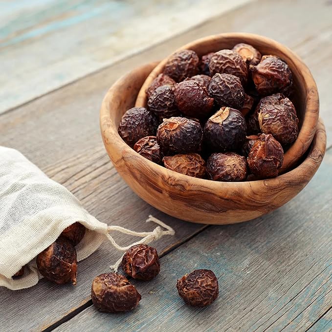 CHUXAY GARDEN Indian Soapberry Seed 5 Seeds Sapindus Mukorossi Evergreen Tree Ornamental Shade Tree Cleaning Purpose