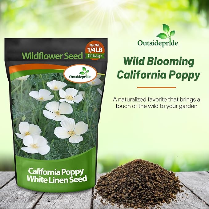 Outsidepride 1/4 lb. Annual Eschscholzia California Poppy White Linen Wild Flower Seeds