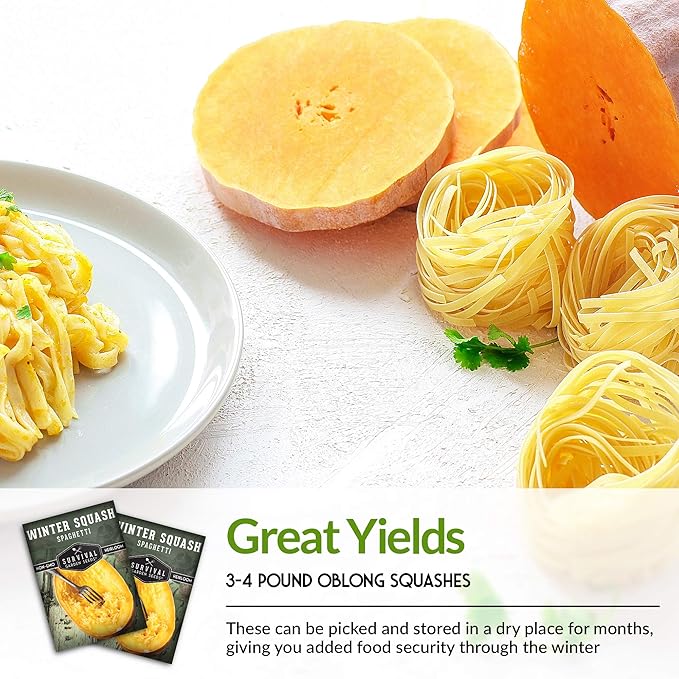 Survival Garden Seeds - Spaghetti Squash Seed for Planting - 5 Packets with Instructions to Plant and Grow Low Carb Healthy Winter Squash in Your Home Vegetable Garden - Non-GMO Heirloom Variety