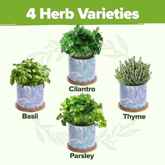HOME GROWN Indoor Herb Gardening Kit w/Glazed Ceramic Pot - Unique Gift for Women, Mom, Gardeners, Friend, Her, Mother - Easy-to-Grow Kitchen Window Starter Set
