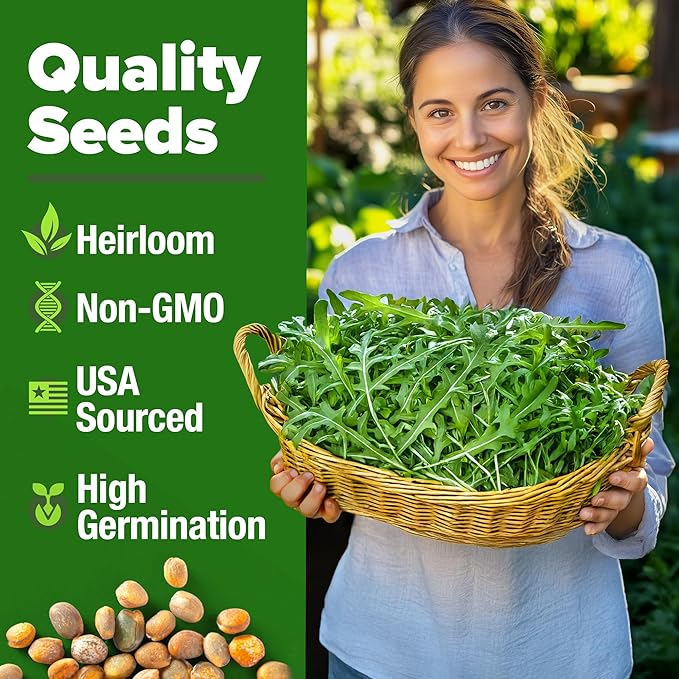 HOME GROWN Arugula Roquette Seeds 2 Pack (9g) 4350 Non-GMO Heirloom Arugula Seeds for Planting - Best for Outdoor Gardens, Providing Fast-Growing Greens for Salads and Sandwiches - Eruca vesicaria