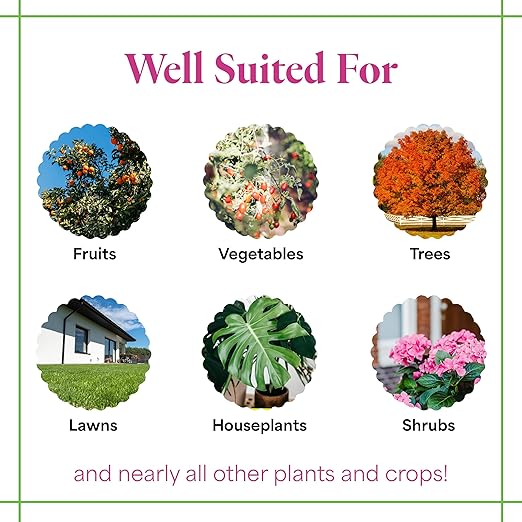 Grow More All-Season's Plant Food (20-20-20 Fertilizer) - 1.5lbs of All Purpose Fertilizer - Water Soluble Plant Food for Houseplants with Chelated Micronutrients
