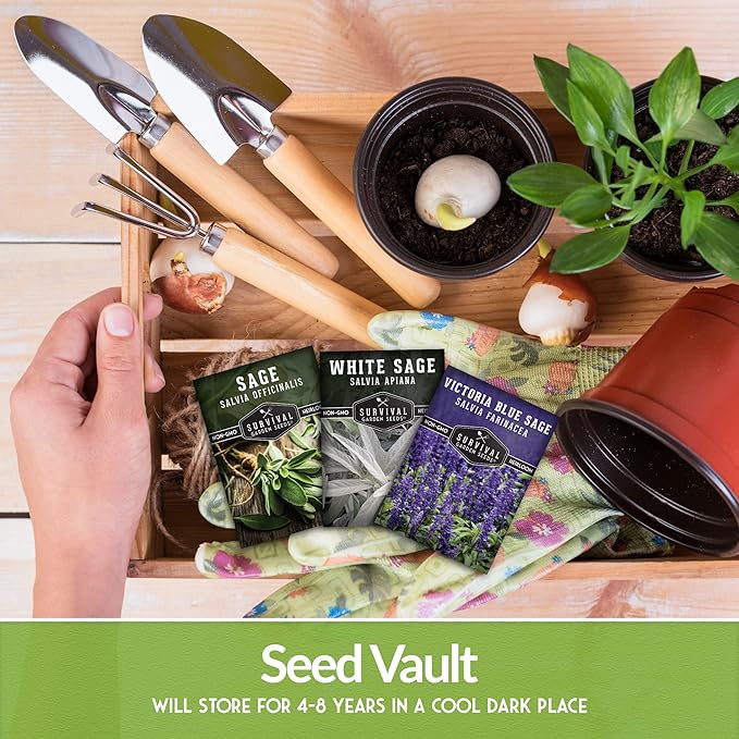 Survival Garden Seeds Sage Collection Seed Vault - White, Culinary & Victoria Blue Sage (Salvia Apiana, Officinalis, Farinacea) - Non-GMO Heirloom Seeds for Your Garden