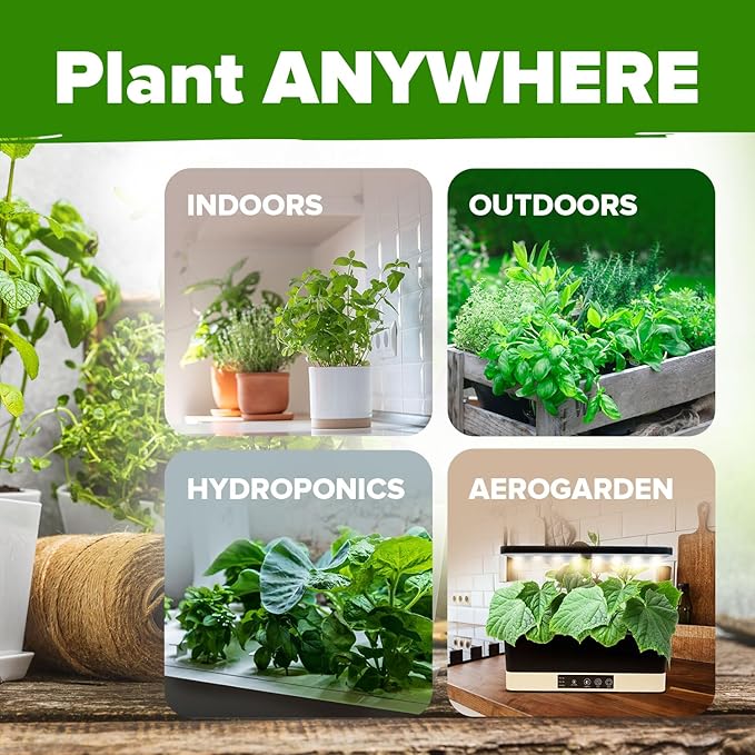 HOME GROWN 25 Herb Seeds Pack | 8700+ Heirloom Seeds | Indoor & Outdoor Planting | Culinary Herb Seeds Variety Pack | Perfect for Hydroponic Gardens | Arugula, Basil, Lavender & More