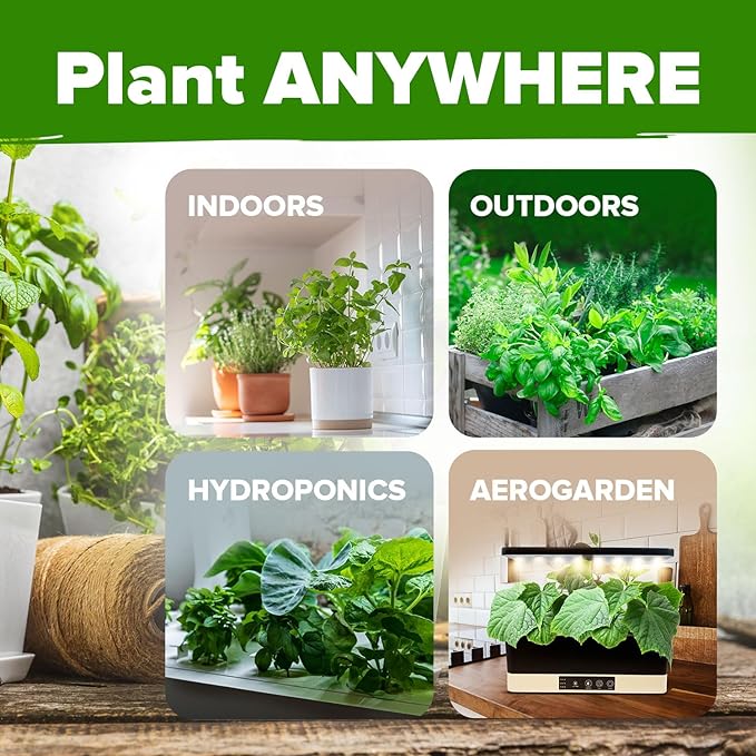 HOME GROWN 30 Herb Seeds Pack | 9,500 Non-GMO, Heirloom Seeds | Indoor & Outdoor Planting | Culinary Herb Seeds Variety Pack | HG30H Perfect for Hydroponic Gardens | Parsley, Rosemary, Thyme & More