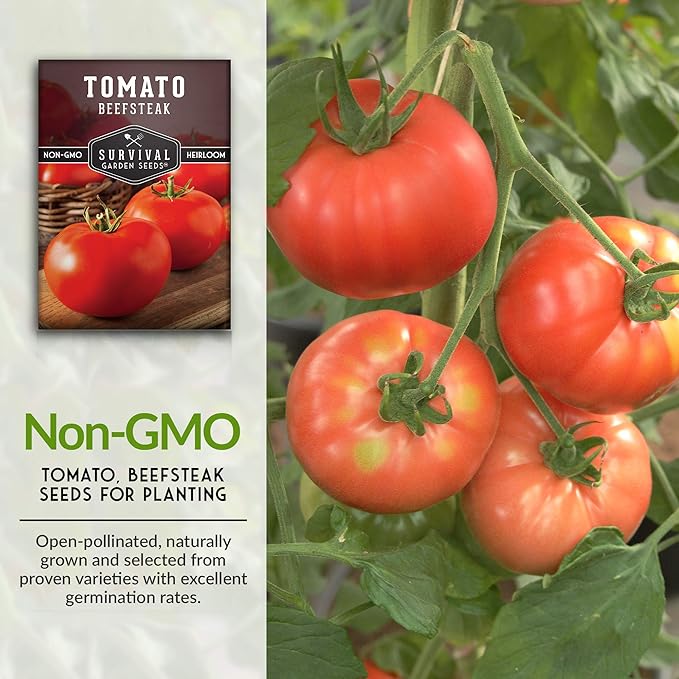 Survival Garden Seeds - Beefsteak Tomato Seed for Planting - Packet with Instructions to Plant and Grow Delicious Tomatoes in Your Home Vegetable Garden - Non-GMO Heirloom Variety - 3 Pack